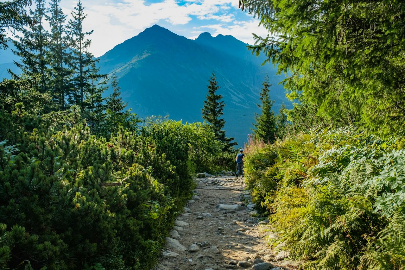 Hiker walking alone on a mountain trail